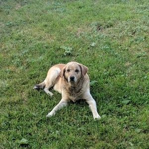 Meet your Posher, Catherine